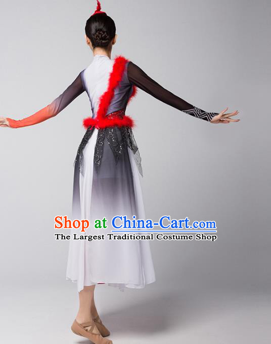 Top Chinese Classical Dance Dress Woman Group Dance Garment Costume Traditional Stage Performance Clothing