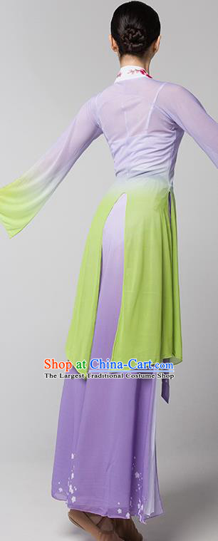 Top Chinese Traditional Stage Performance Clothing Classical Dance Lilac Dress Woman Group Fan Dance Garment Costume