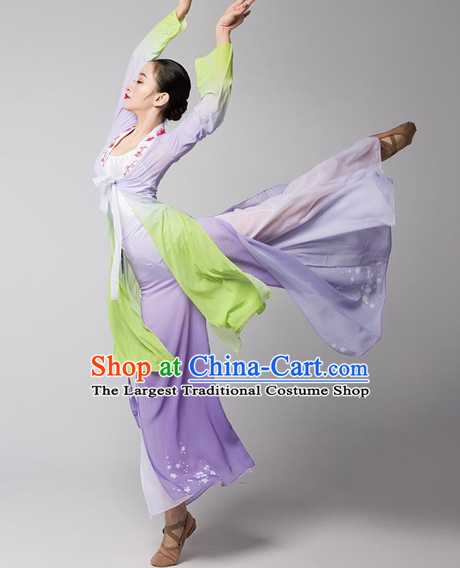 Top Chinese Traditional Stage Performance Clothing Classical Dance Lilac Dress Woman Group Fan Dance Garment Costume