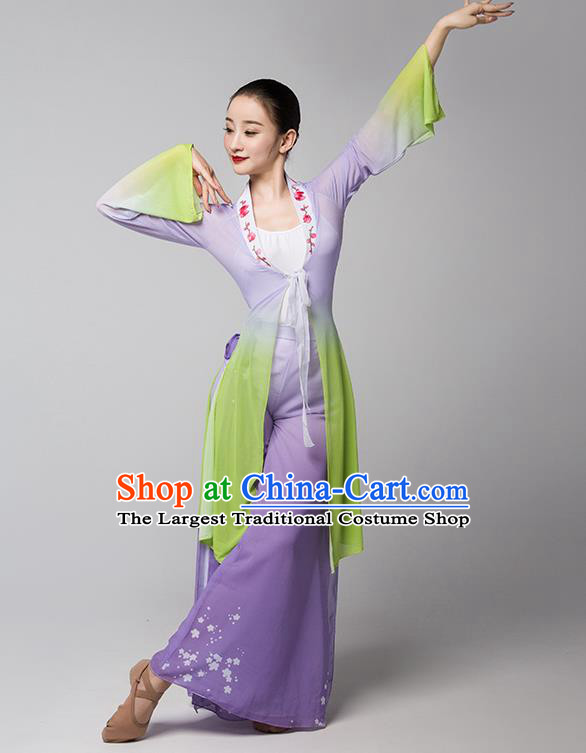 Top Chinese Traditional Stage Performance Clothing Classical Dance Lilac Dress Woman Group Fan Dance Garment Costume