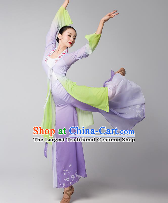 Top Chinese Traditional Stage Performance Clothing Classical Dance Lilac Dress Woman Group Fan Dance Garment Costume