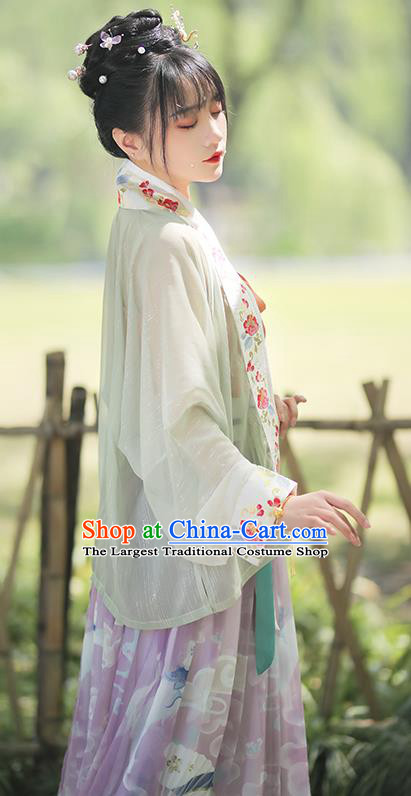 China Traditional Song Dynasty Historical Clothing Ancient Young Lady Embroidered Dress Hanfu Garments