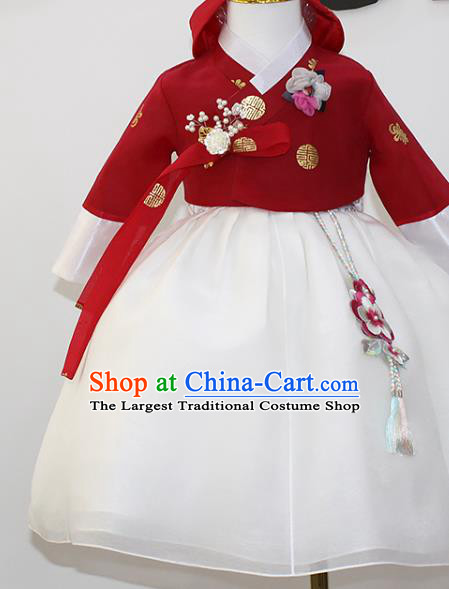 Traditional Korean Fashion Apparels Hanbok Clothing Children Girl Red Blouse and White Dress