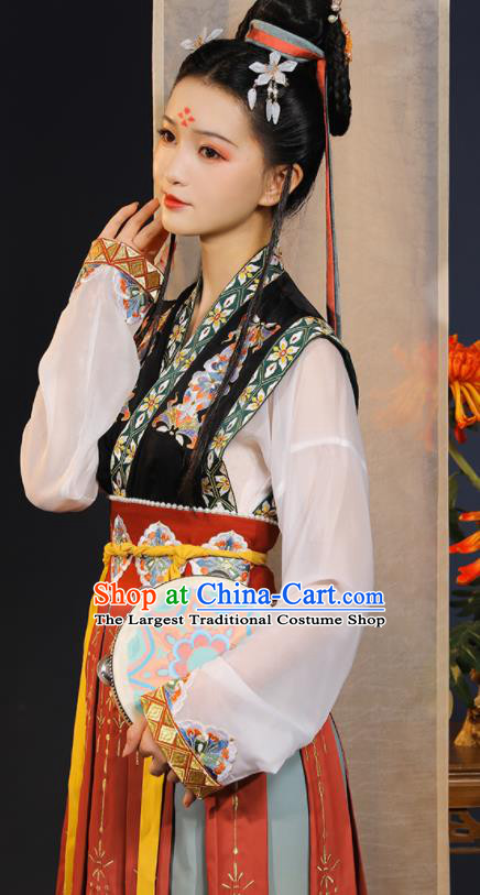 China Tang Dynasty Court Dance Historical Clothing Ancient Noble Infanta Embroidered Hanfu Dress Garments for Women