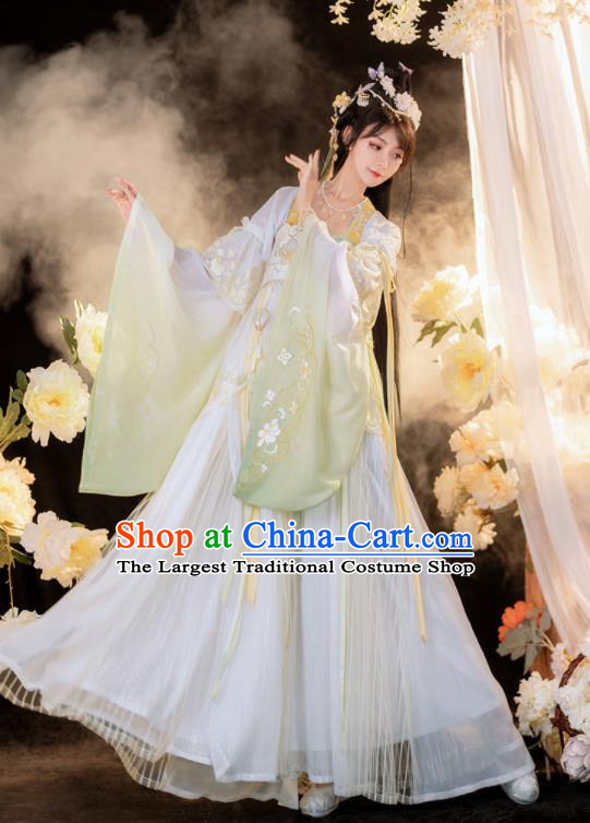 China Traditional Tang Dynasty Palace Beauty Garment Costumes Ancient Fairy Hanfu Dress Clothing