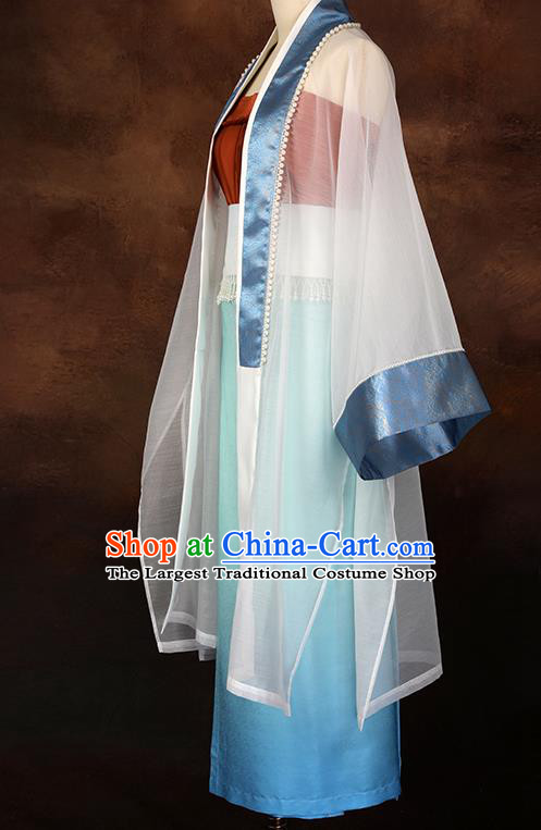 China Ancient Young Beauty Hanfu Dresses Song Dynasty Civilian Female Garment Costumes Traditional Historical Clothing