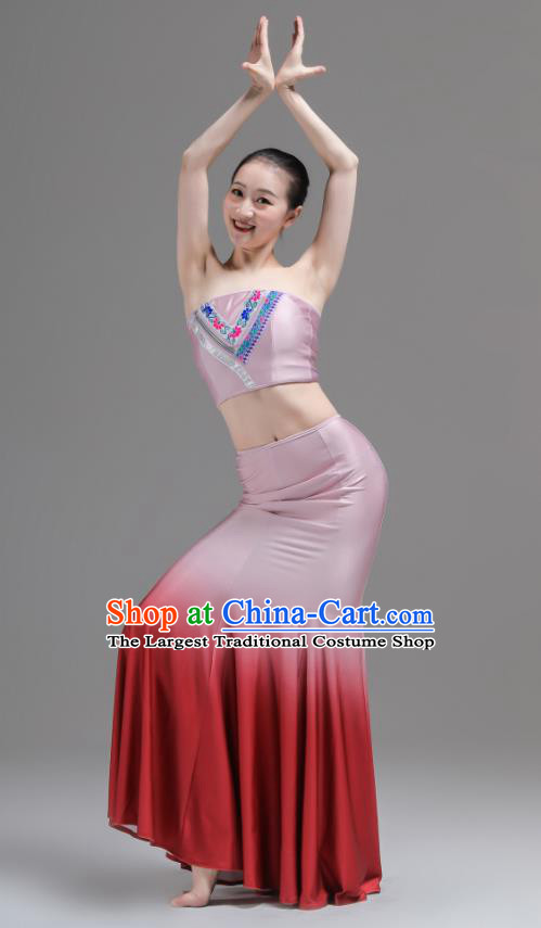 Chinese Yunnan Nationality Clothing Peacock Dance Costumes Ethnic Woman Garments Dai Minority Performance Pink Dress Outfits