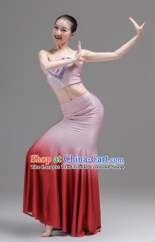 Chinese Yunnan Nationality Clothing Peacock Dance Costumes Ethnic Woman Garments Dai Minority Performance Pink Dress Outfits