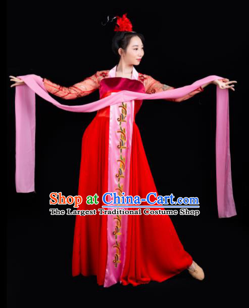 China Woman Performance Clothing Classical Dance Garment Costumes Court Dance Red Dress Hanfu Dance Outfits