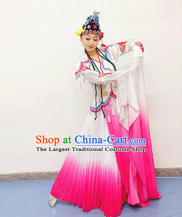Chinese Opera Dance Costume Classical Dance Clothing Water Sleeve Dance Pink Dress Stage Performance Garments and Headpieces