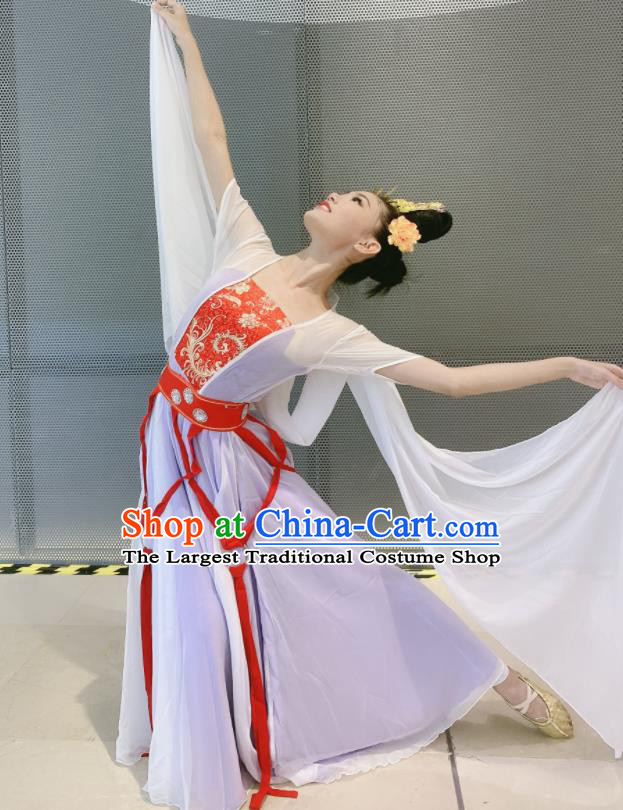 China Moon Fairy Dance Costumes Women Group Dance Clothing Classical Dance Lilac Dress Stage Performance Outfits