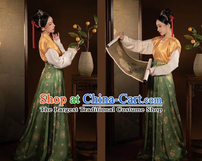 China Ancient Palace Lady Historical Clothing Tang Dynasty Young Beauty Hanfu Dress for Women