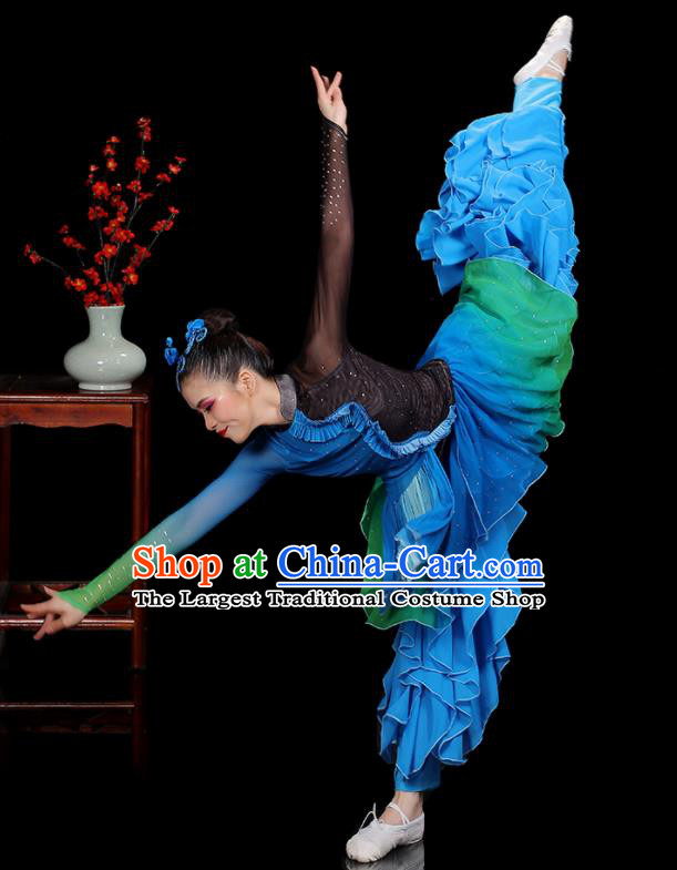 Professional China Women Group Dance Costumes Yangko Dance Garments Umbrella Dance Clothing Folk Dance Blue Outfits