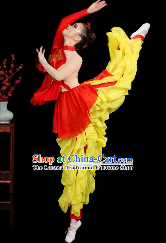 Chinese Folk Dance Clothing Traditional Dragon Dance Outfits New Year Drum Dance Costumes Yangko Performance Apparels