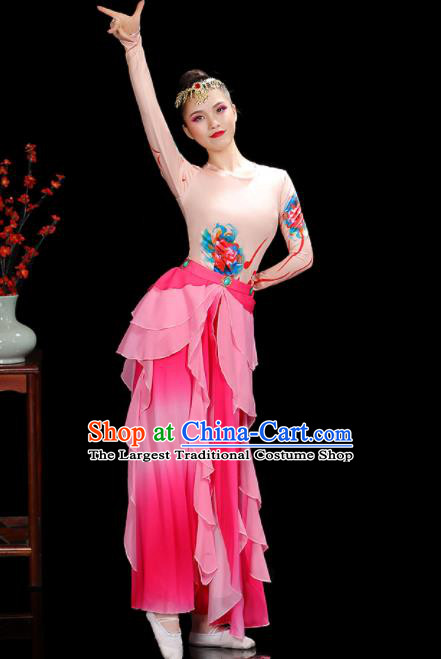 China Classical Dance Garment Costumes Lotus Dance Dress Fairy Dance Pink Outfits Woman Performance Clothing