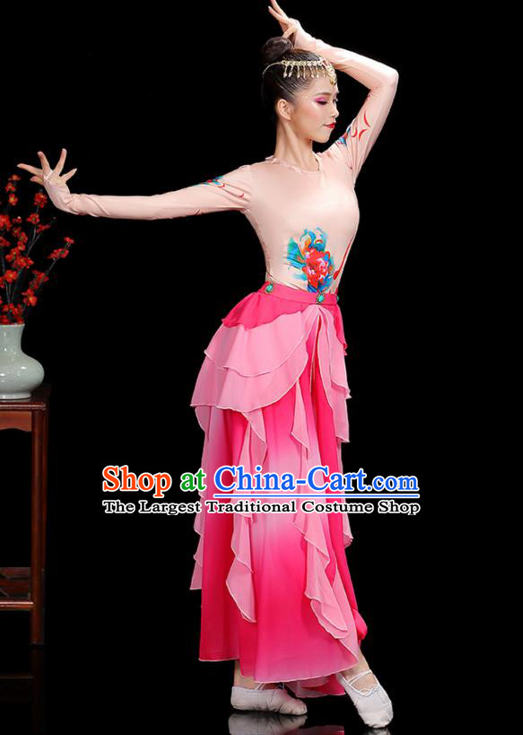 China Classical Dance Garment Costumes Lotus Dance Dress Fairy Dance Pink Outfits Woman Performance Clothing