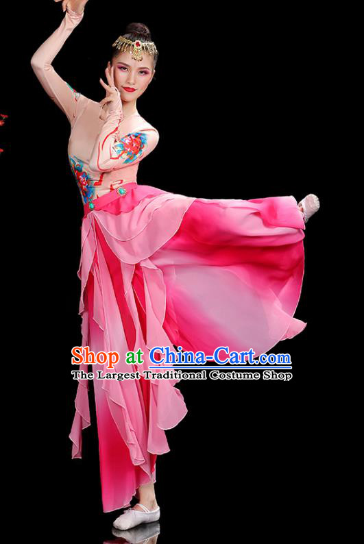 China Classical Dance Garment Costumes Lotus Dance Dress Fairy Dance Pink Outfits Woman Performance Clothing