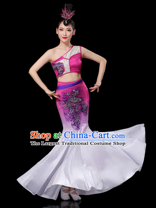 Chinese Tai Nationality Stage Performance Rosy Dress Outfits Dai Minority Peacock Dance Clothing Yunnan Ethnic Female Dance Costumes