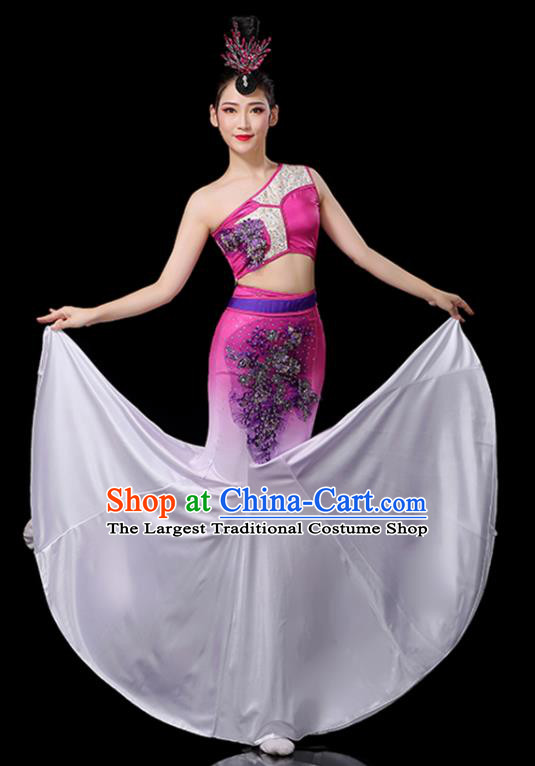 Chinese Tai Nationality Stage Performance Rosy Dress Outfits Dai Minority Peacock Dance Clothing Yunnan Ethnic Female Dance Costumes