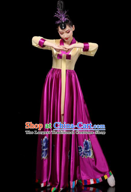 Chinese Chaoxian Minority Dance Clothing Ethnic Female Dance Costumes Korean Nationality Stage Performance Purple Dress Outfits