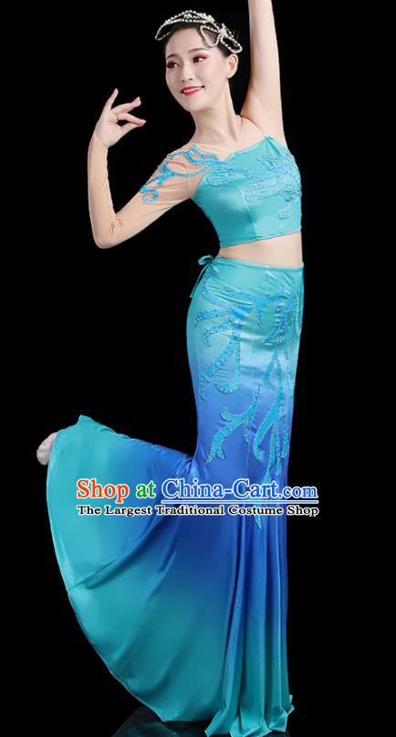 Chinese Dai Nationality Stage Performance Blue Dress Outfits Tai Minority Peacock Dance Clothing Yunnan Ethnic Pavane Dance Costumes