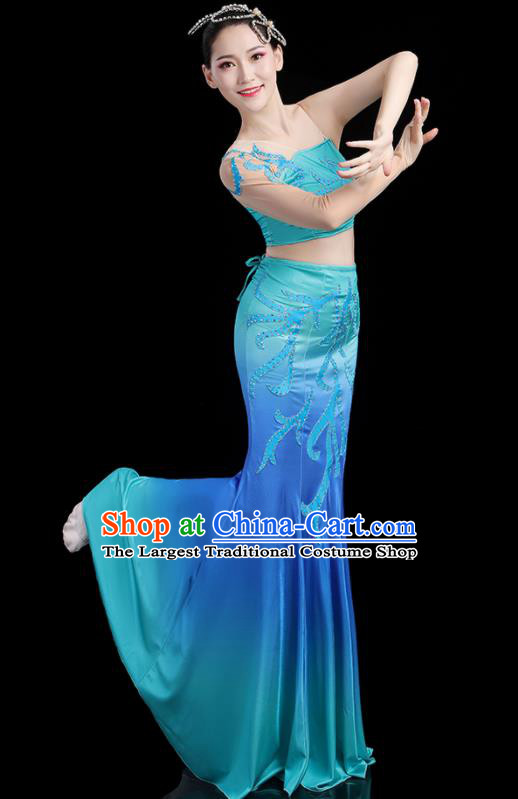 Chinese Dai Nationality Stage Performance Blue Dress Outfits Tai Minority Peacock Dance Clothing Yunnan Ethnic Pavane Dance Costumes