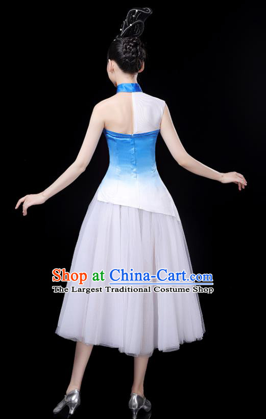 Professional China Women Group Dance Costume Chorus Performance Garments Modern Dance Clothing Opening Dance Veil Dress
