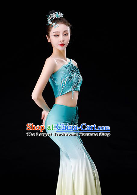 Chinese Yunnan Folk Dance Garment Costumes Ethnic Peacock Dance Blue Dress Outfits Dai Nationality Female Performance Clothing