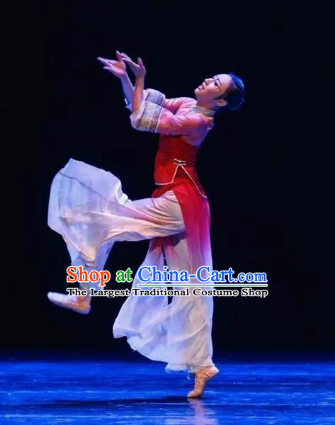 Chinese Umbrella Dance Garment Costumes Female Solo Dance Clothing Classical Dance Red Dress Stage Performance Outfits