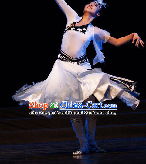 Chinese Stage Performance White Dress Outfits Swan Dance Clothing Classical Dance Garment Costumes