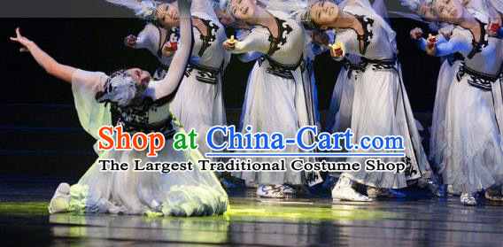 Chinese Stage Performance White Dress Outfits Swan Dance Clothing Classical Dance Garment Costumes