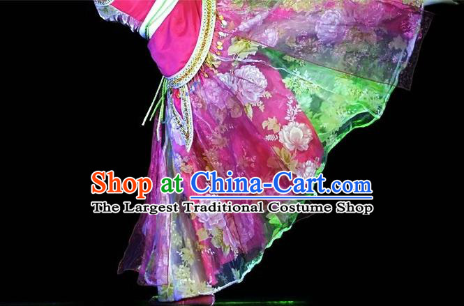 Chinese Classical Dance Garment Costumes Beauty Stage Performance Rosy Dress Outfits Woman Hanfu Dance Clothing