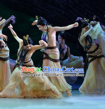 Chinese Hanfu Beauty Dance Clothing Classical Dance Garment Costumes Stage Performance Wang Zhaojun Khaki Dress Outfits