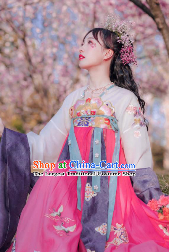 China Traditional Court Princess Historical Clothing Ancient Fairy Hanfu Dress Apparels Tang Dynasty Young Beauty Garment Costumes