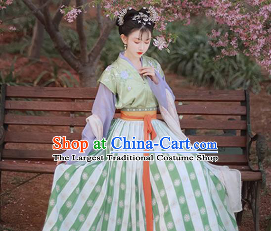 China Traditional Court Lady Hanfu Dress Apparels Ancient Princess Garment Costumes Tang Dynasty Historical Clothing Complete Set