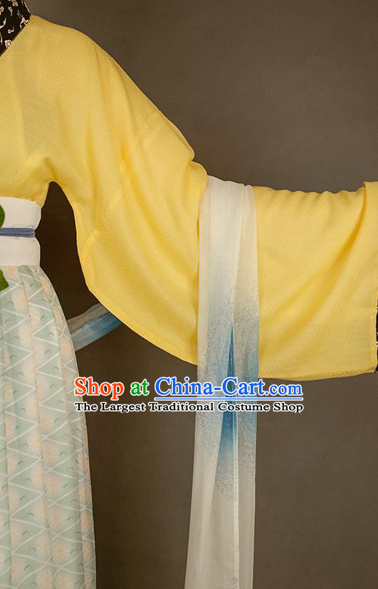 China Traditional Court Beauty Historical Costume Ancient Palace Lady Clothing Song Dynasty Imperial Consort Hanfu Dresses