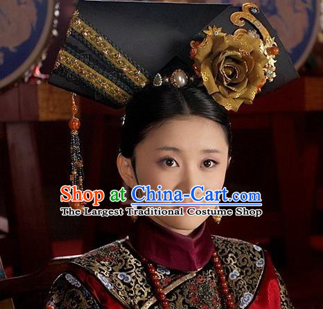 China Traditional Qing Dynasty Court Woman Headdress TV Series Empresses in the Palace Giant Wing Headpiece Ancient Imperial Consort Hair Accessories