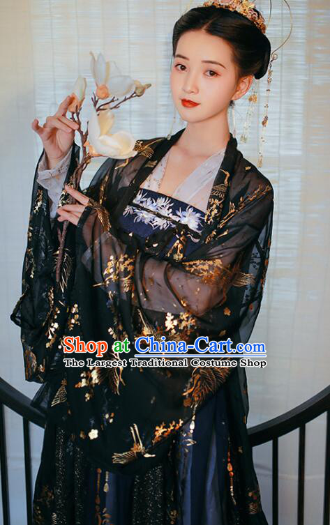 Chinese Ancient Princess Hanfu Clothing Tang Dynasty Ruqun Black Dresses Traditional Garment Costumes