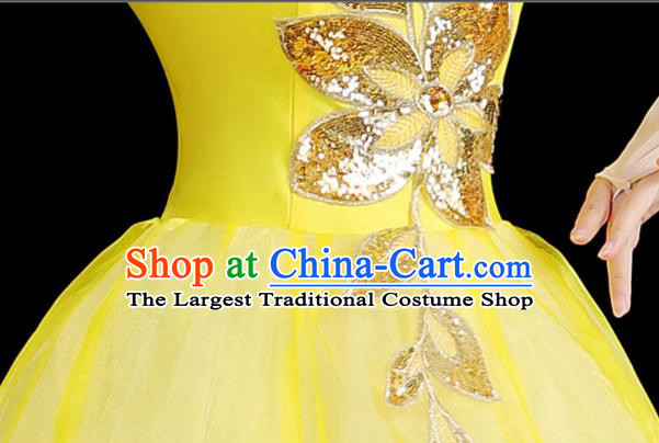 Chinese Women Group Dance Outfit Modern Dance Clothing Stage Performance Costume Opening Dance Bubble Dress