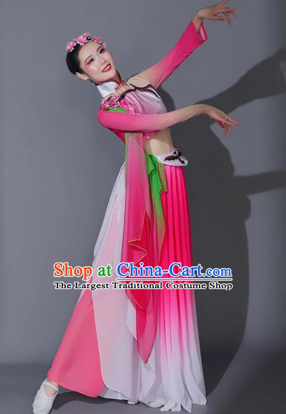 Chinese Fan Dance Dress Woman Solo Dance Pink Outfit Classical Dance Clothing Stage Performance Costume