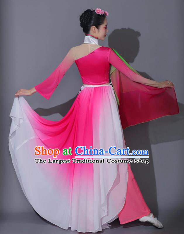 Chinese Fan Dance Dress Woman Solo Dance Pink Outfit Classical Dance Clothing Stage Performance Costume