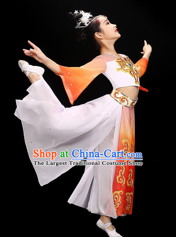 Chinese Fan Dance Dress Uniform Traditional Dancewear Children Classical Dance Clothing Beauty Dance Garment Costume