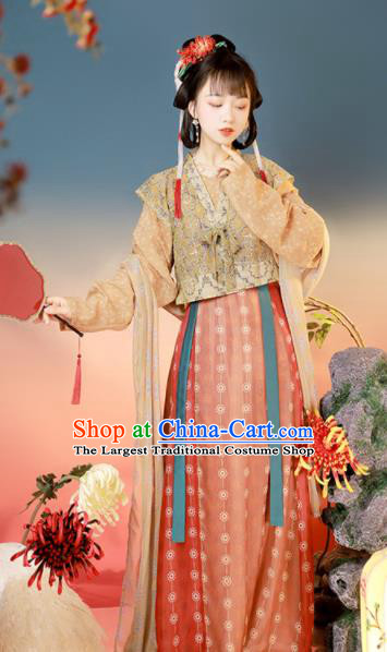 Chinese Ancient Princess Historical Costumes Tang Dynasty Palace Lady Clothing Traditional Beizi Hanfu Dress for Women