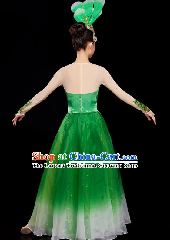 Chinese Modern Dance Clothing Women Group Dance Garment Opening Dance Costume Stage Performance Green Dress and Headpiece