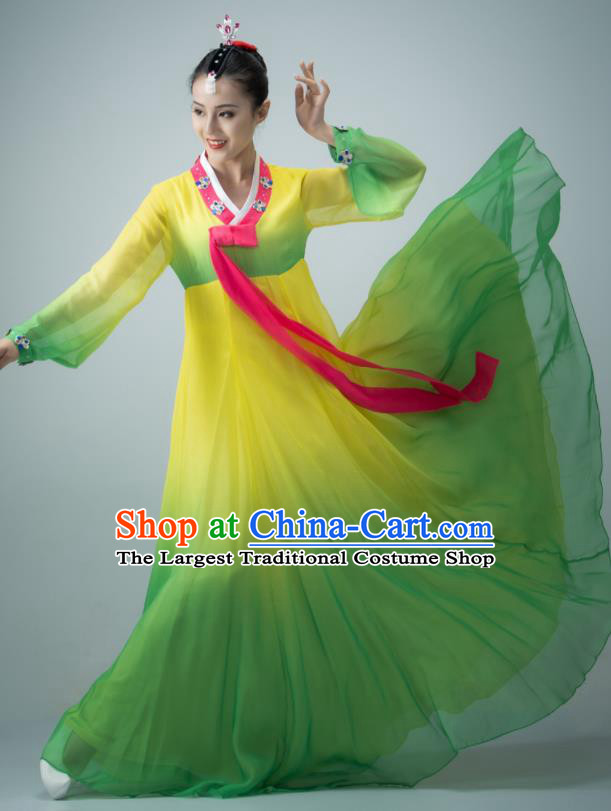 Chinese Classical Dance Dress Korean Nationality Dance Clothing Women Stage Performance Costume