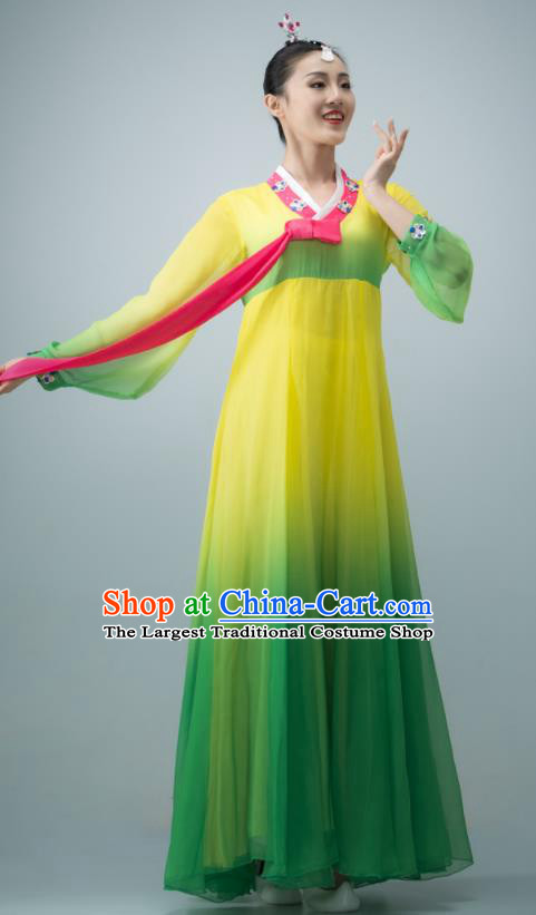 Chinese Classical Dance Dress Korean Nationality Dance Clothing Women Stage Performance Costume