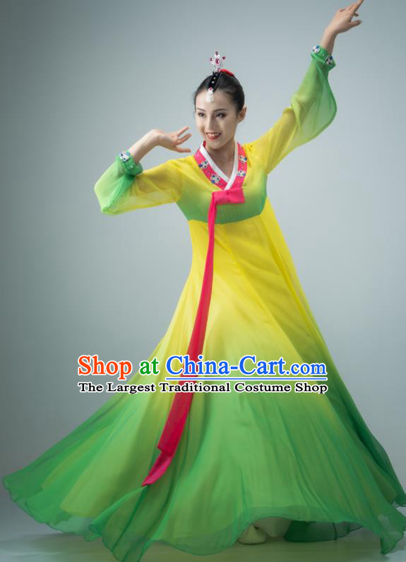 Chinese Classical Dance Dress Korean Nationality Dance Clothing Women Stage Performance Costume