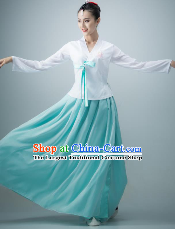 Chinese Classical Dance Clothing Korean Nationality Stage Performance Costume Women Group Dance Blue Dress