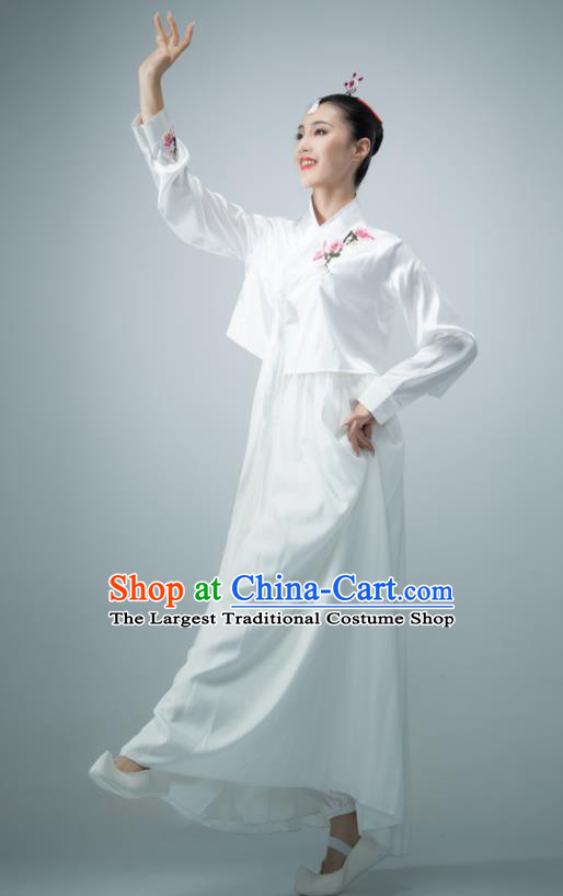 Chinese Women Group Dance White Dress Classical Dance Clothing Korean Nationality Stage Performance Costume