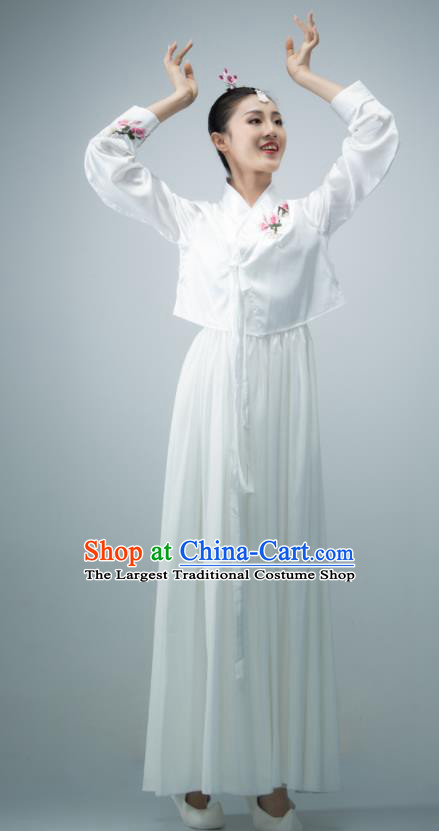 Chinese Women Group Dance White Dress Classical Dance Clothing Korean Nationality Stage Performance Costume